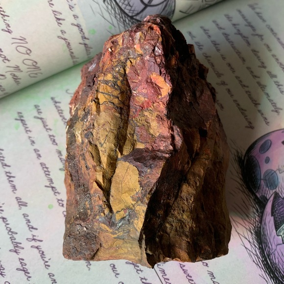 Beautiful piece of Petrified Redwood tree mineral stone display specimen - Picture 4 of 11
